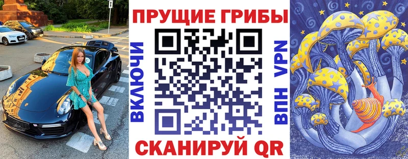 Галлюциногенные грибы прущие грибы  площадка официальный сайт  Чернушка 